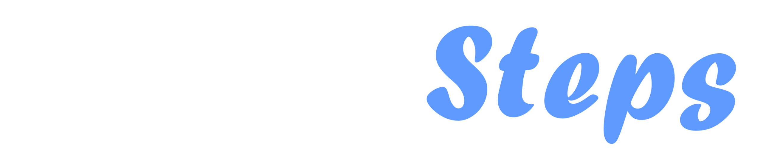 Footer Logo
